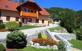 Apartments Trebusak